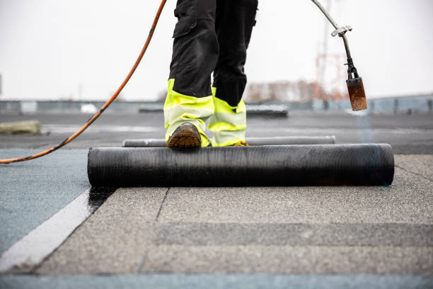 Best Roof Waterproofing  in Pinetops, NC